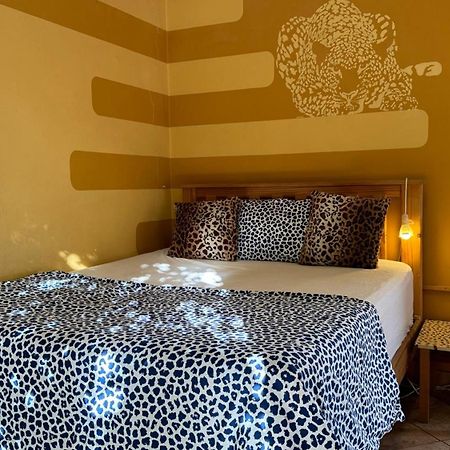 Paradisegarden Backpackers Windhoek Luaran gambar