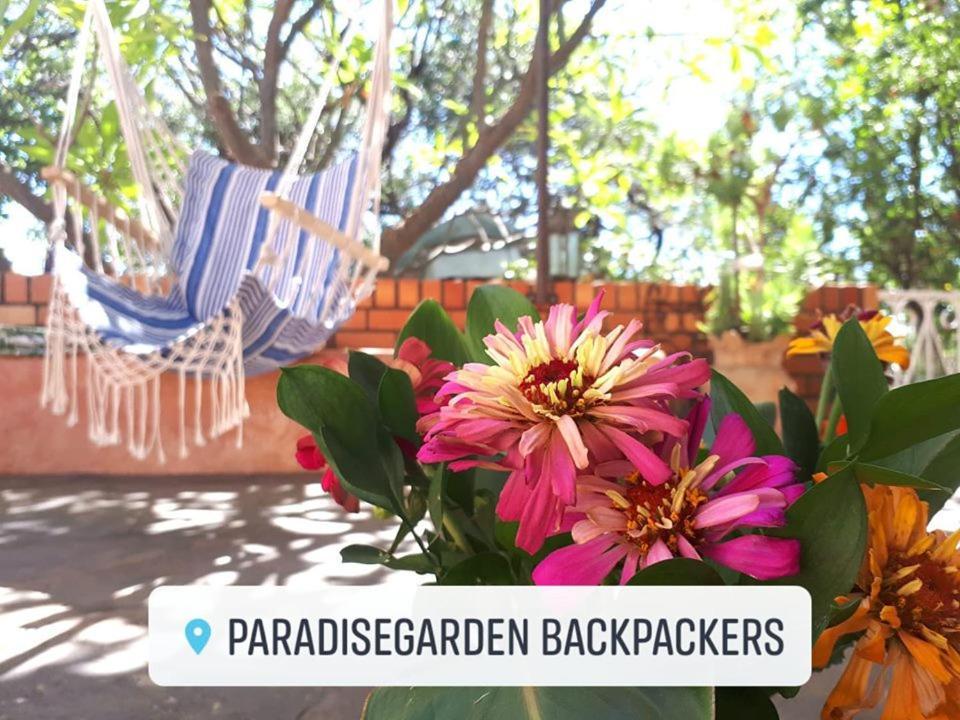 Paradisegarden Backpackers Windhoek Luaran gambar