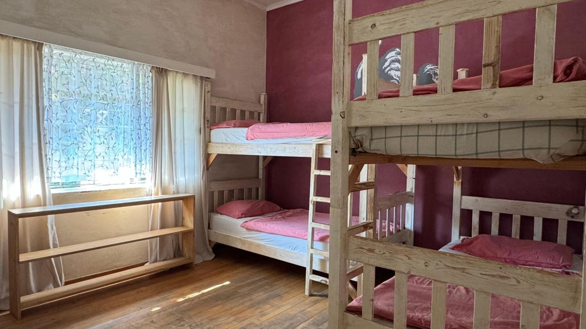 Paradisegarden Backpackers Windhoek Luaran gambar