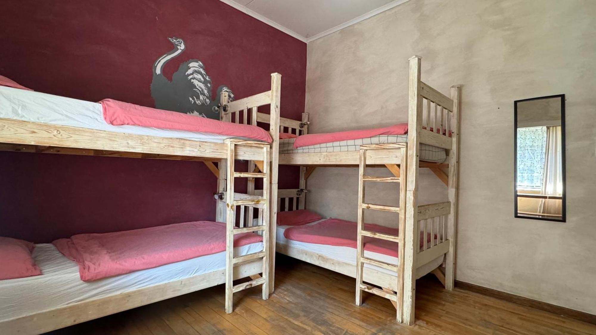Paradisegarden Backpackers Windhoek Luaran gambar