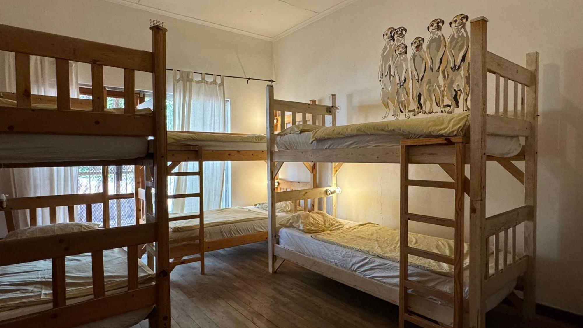 Paradisegarden Backpackers Windhoek Luaran gambar